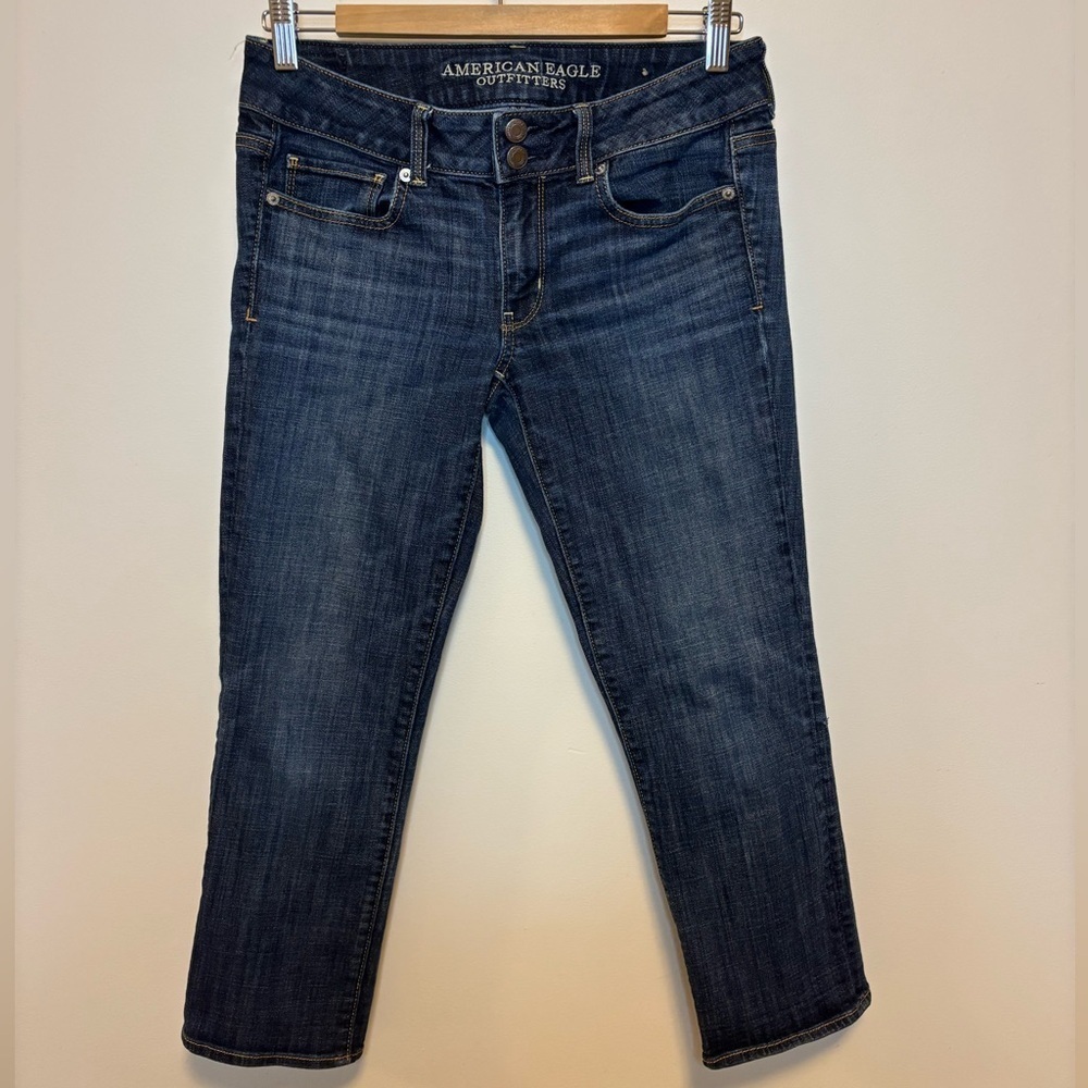 American Eagle Outfitters | Low Rise Artist Crop Stretch Denim Pants | Size 6